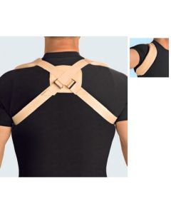 Raddrizzaspalle Clavisan