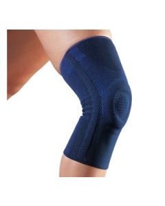 ARTIGIB GINOCCHIERA LEGAMENTI