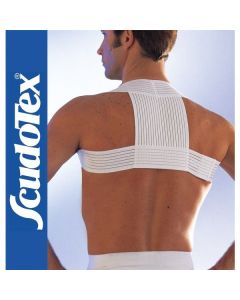 Raddrizzaspalle sostenitivo