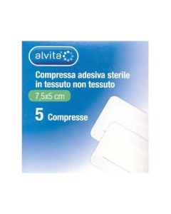 Alvita Garza Compressa Adesiva Sterile 7.2x5cm