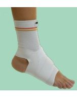 Cavigliera legamenti