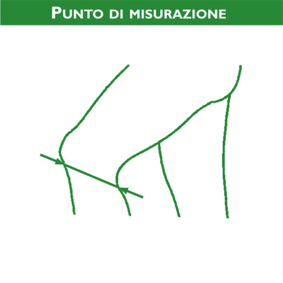 Punti di misurazione