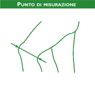 Punti di misurazione